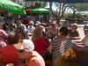 Greasewood_1898.jpg