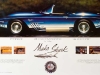 Mako Shark by Peter Maier poster 