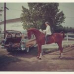 Ferrell 52 Ford Horse