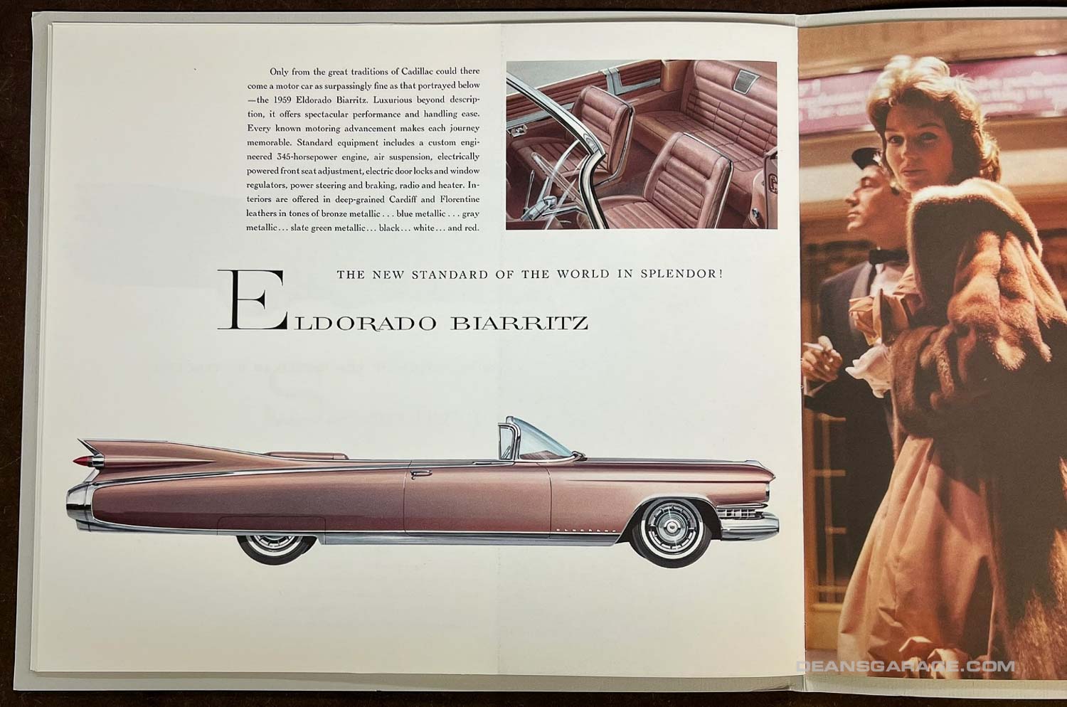 Todd Brochures-26