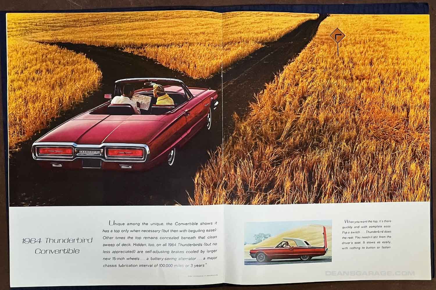Todd Brochures-31