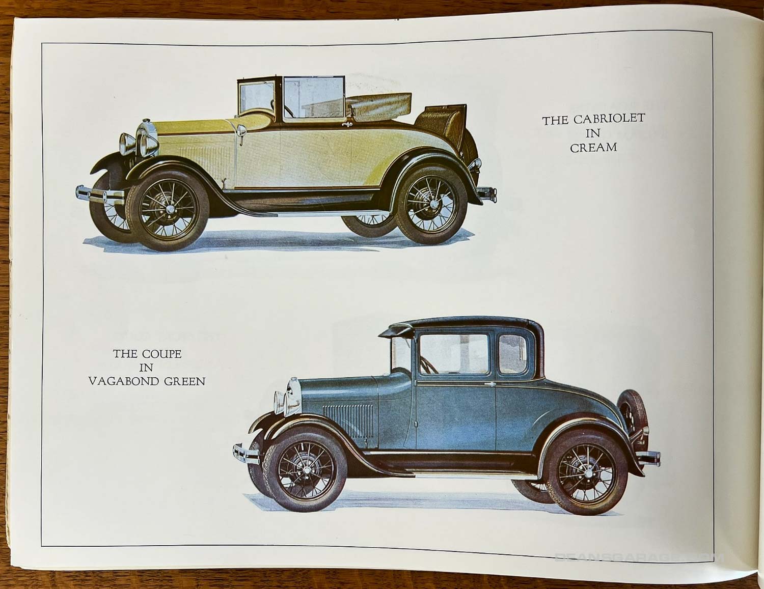 Todd Brochures-9