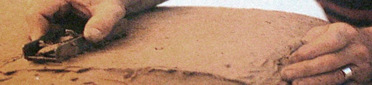 cropped-headercontent